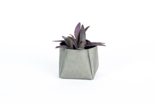 Urban Desk Planter-Grey